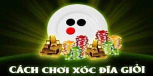 Luật chơi Cược Xóc Đĩa GO88 – Đơn giản nhưng kịch tính