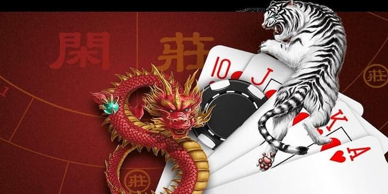 Cách Thức Đặt Cược và Các Loại Cược trong Rồng Hổ
