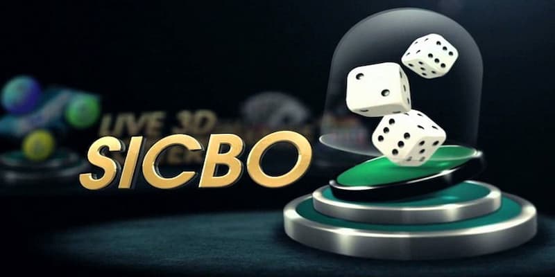 Cách chơi Sicbo online tại GO88 dành cho người mới
