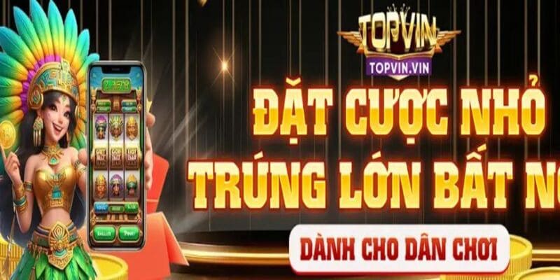 topvin topvin