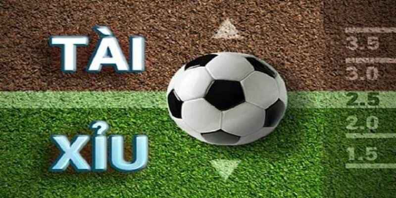 Các bước cơ bản để đọc vị tài xỉu chuẩn xác tại Go88
