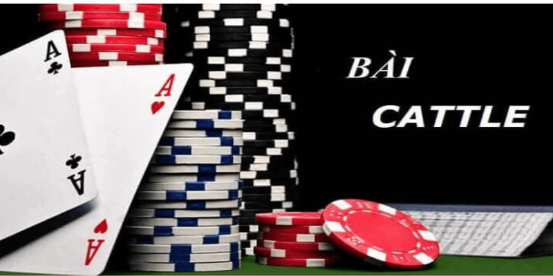 bài catte 6 lá Giới thiệu tổng quan về bài catte 6 lá tại Go88