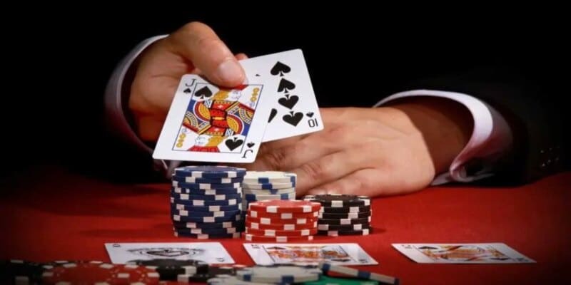 mẹo đánh bài catte Những mẹo đánh bài catte quan trọng giúp tăng cơ hội thắng tại Go88
