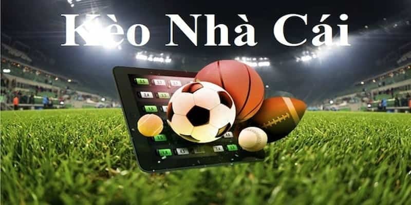 so sánh nhà cái sky88 qh88 so sánh nhà cái sky88 qh88