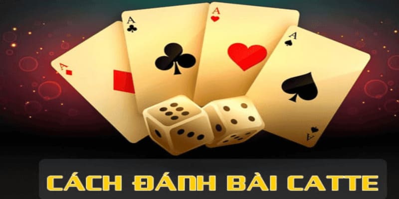 mẹo đánh bài catte Tổng quan về bài catte và tại sao bạn cần biết mẹo đánh bài catte