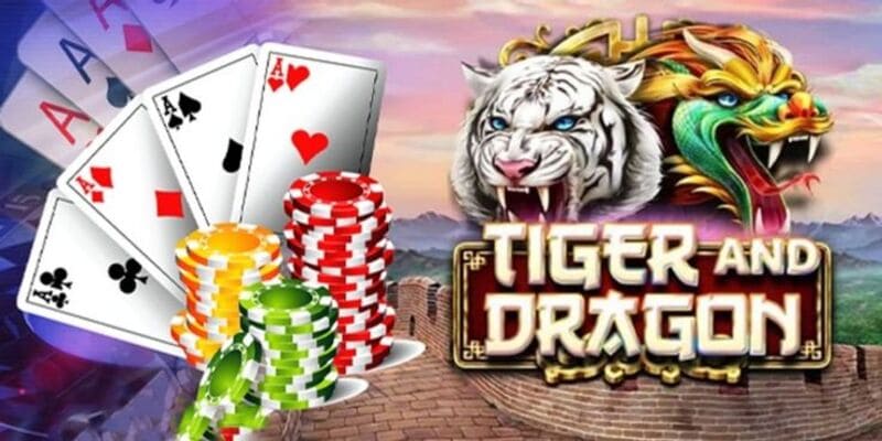 Hướng dẫn chơi rồng hổ Hướng dẫn chơi rồng hổ