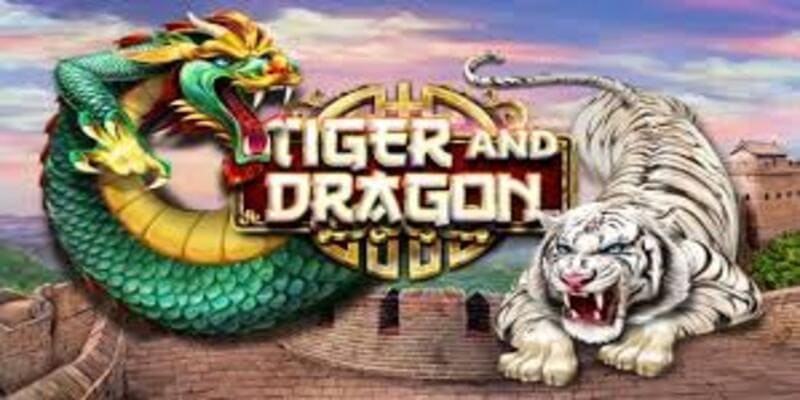Hướng dẫn chơi rồng hổ Hướng dẫn chơi rồng hổ